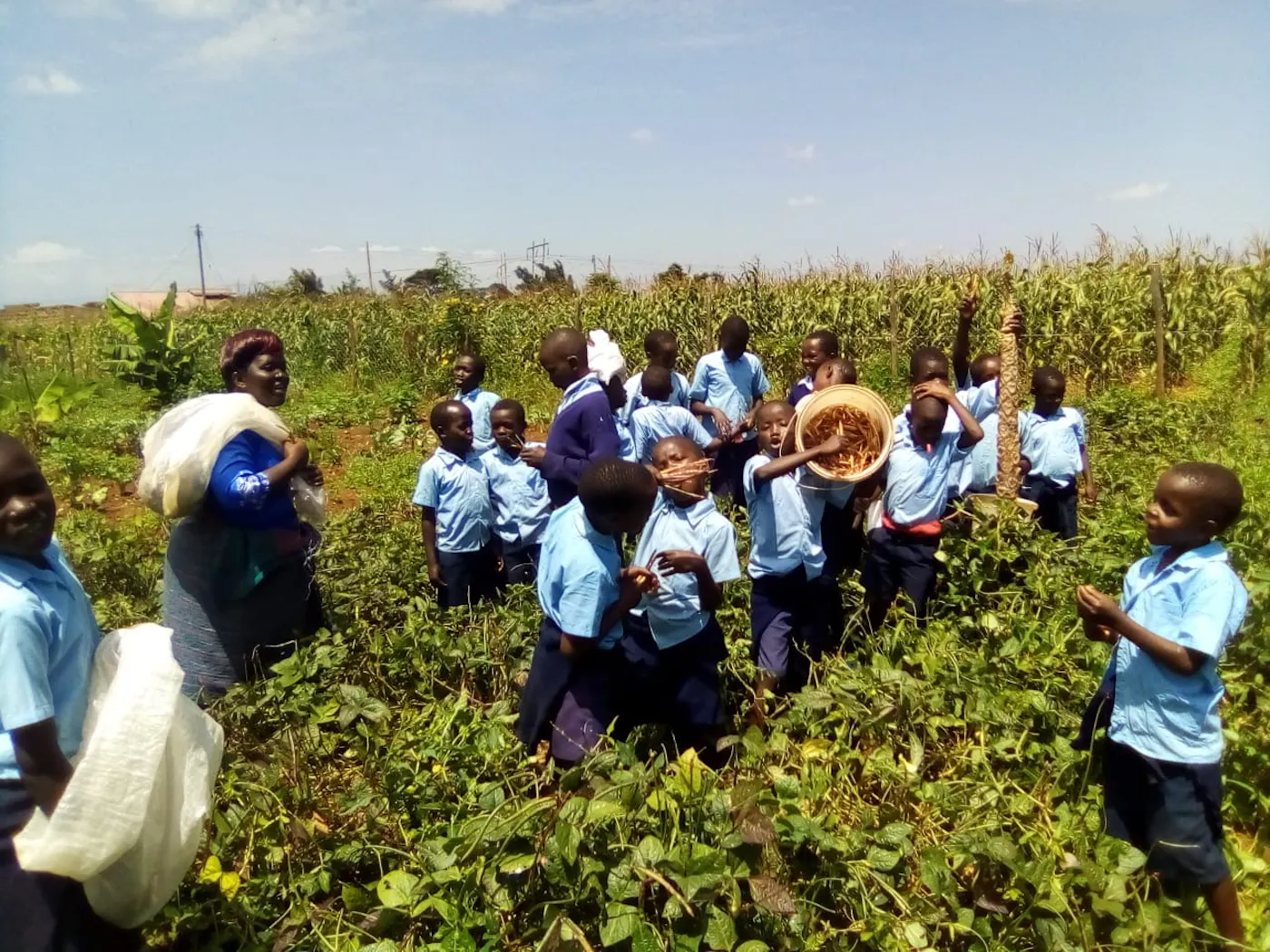 Training a New Generation to Create Resilient Livelihoods Through Permaculture Farming